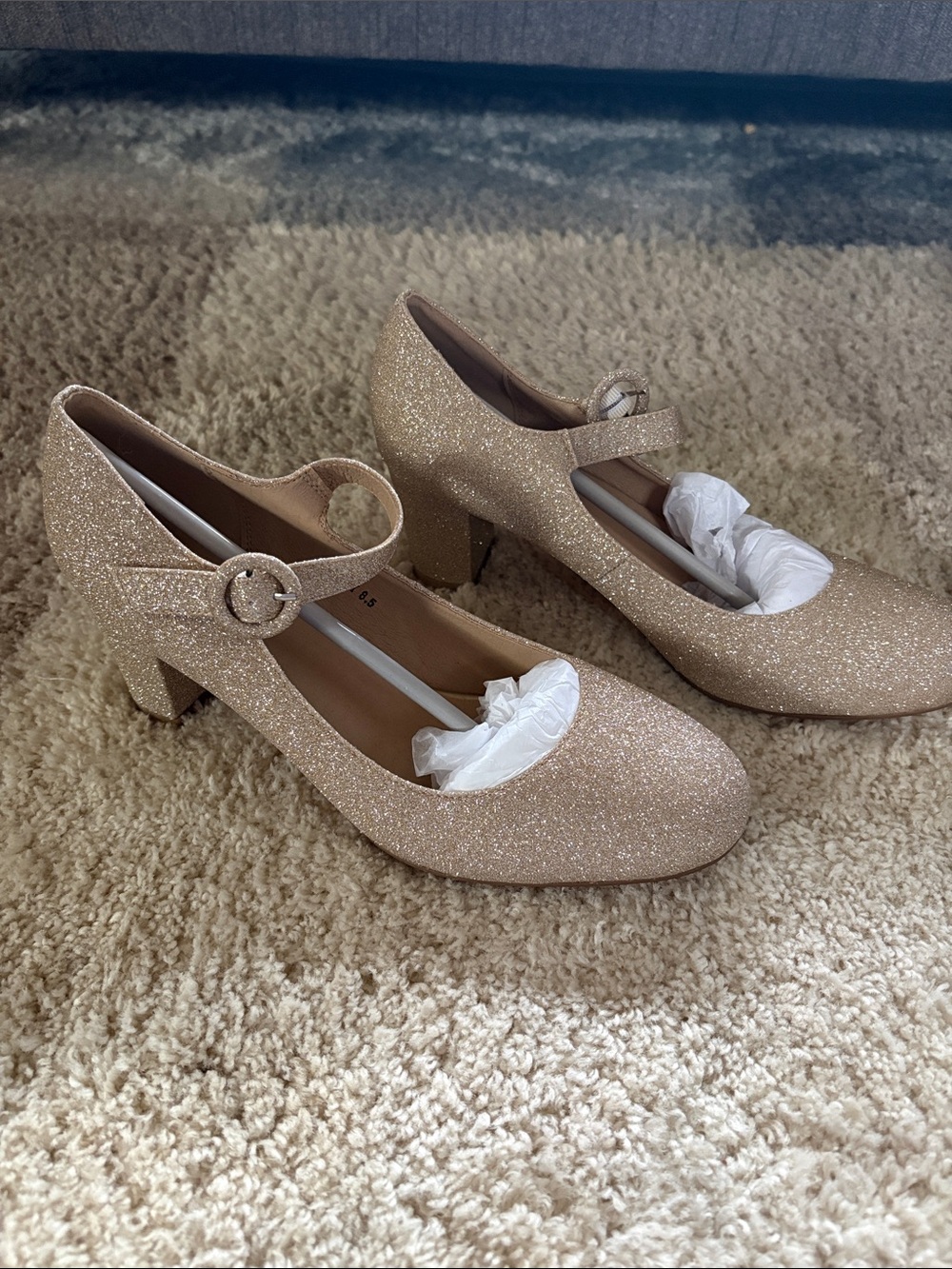 IDIFU Glitter Mary Jane Block Heels - Champagne Gold
